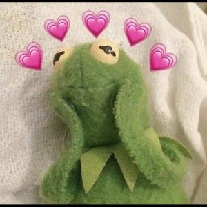 Meet your Posher, Kangmi